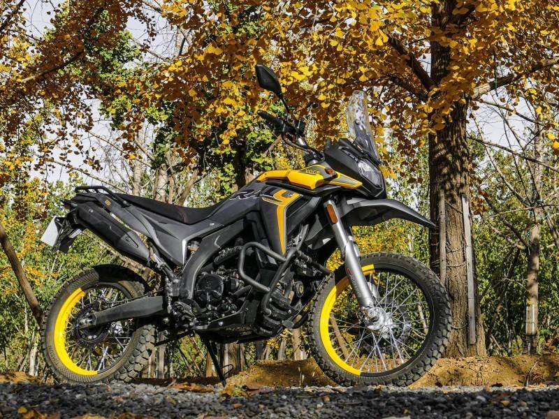 Voge Rally 300 300 Adventure (2023 - )